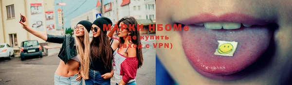 мет Алексин