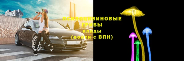 2c-b Алзамай