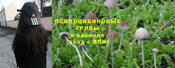 2c-b Алзамай